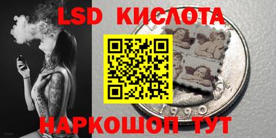 прущие грибы Лесосибирск