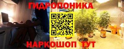 прущие грибы Лесосибирск