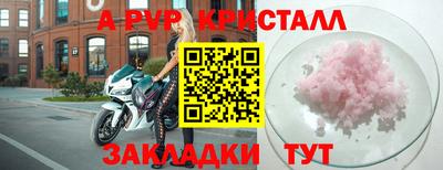 прущие грибы Лесосибирск