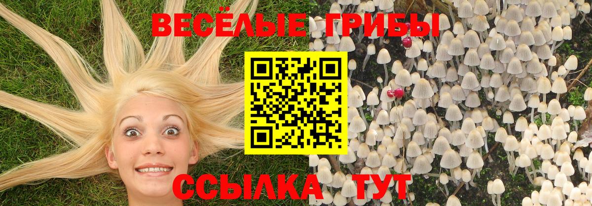 Электросталь  Псилоцибиновые грибы мицелий  Вход с VPN  Псилоцибиновые грибы мицелий 