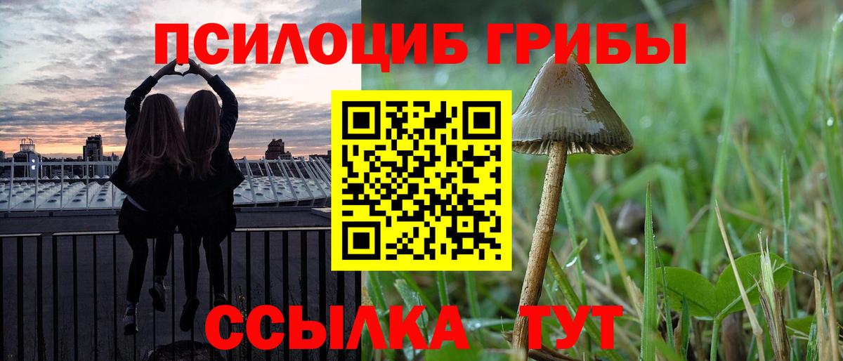 Галлюциногенные грибы прущие грибы Электросталь